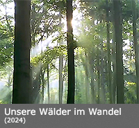 Unsere Wälder im Wandel